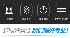 1204 1605 2005 2510螺母模组全套