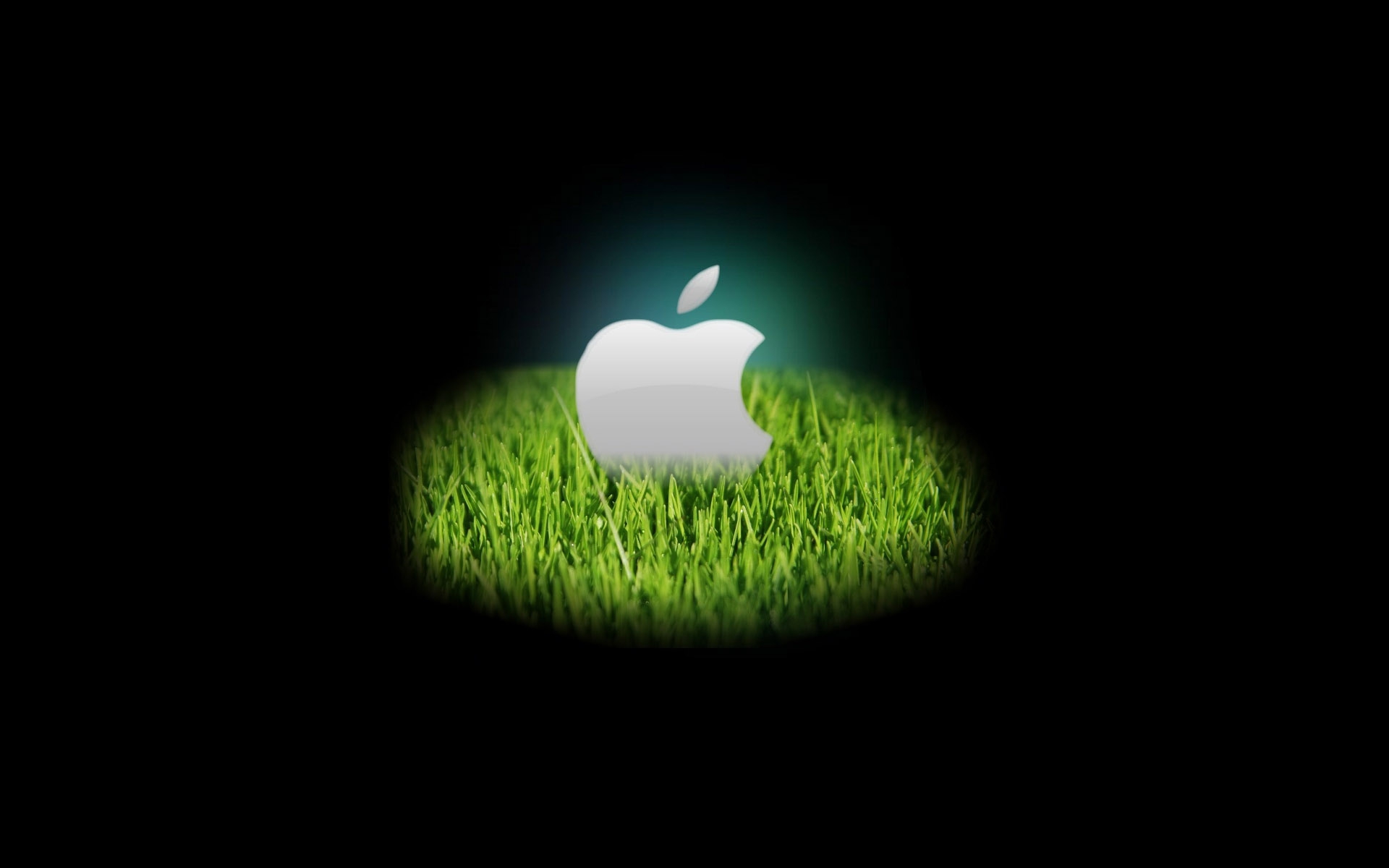 APPLE_075012.jpg