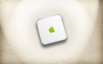 APPLE_075008