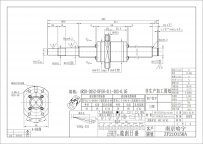 4R20-20S2-DFSH-411-483-0.05-ZF210150A