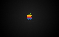 APPLE_074004