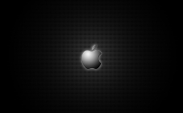 APPLE_073010