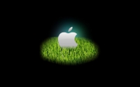 APPLE_075012